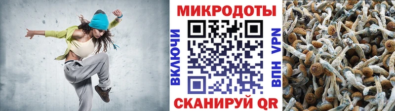 Псилоцибиновые грибы Cubensis  где можно купить наркотик  Юрюзань 